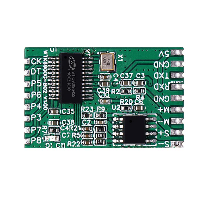 <b>WTK6900CS-B01語音識別控制模塊</b>