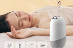 加濕助眠儀語(yǔ)音IC芯片 白噪音語(yǔ)音方案 WTN6040F-8S