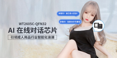 AI情感陪伴新紀(jì)元：WT2605C語音芯片在成人用品中的創(chuàng)新應(yīng)用